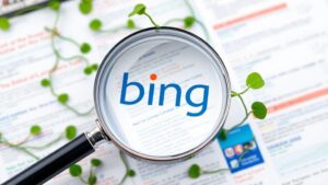 Read more about the article קידום אתרים בבינג (Bing)